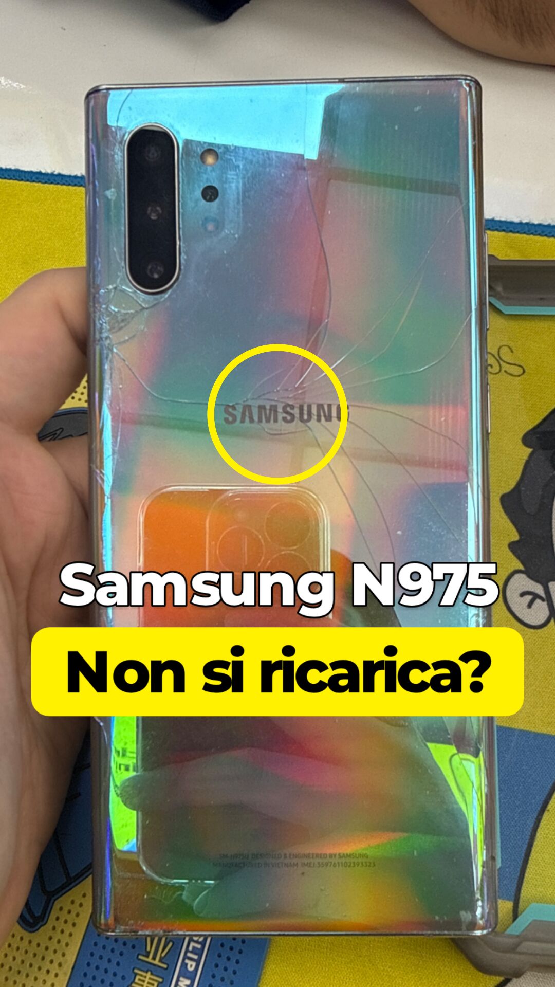 Samsung Samsung S10 Plus · No carica